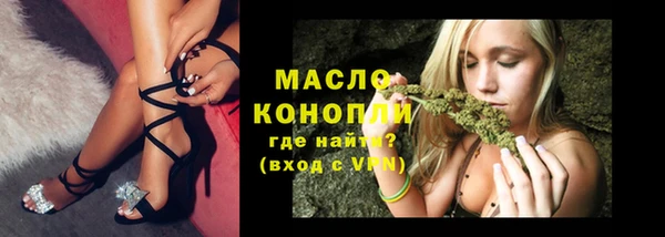 индика Михайловск