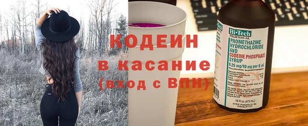 индика Михайловск