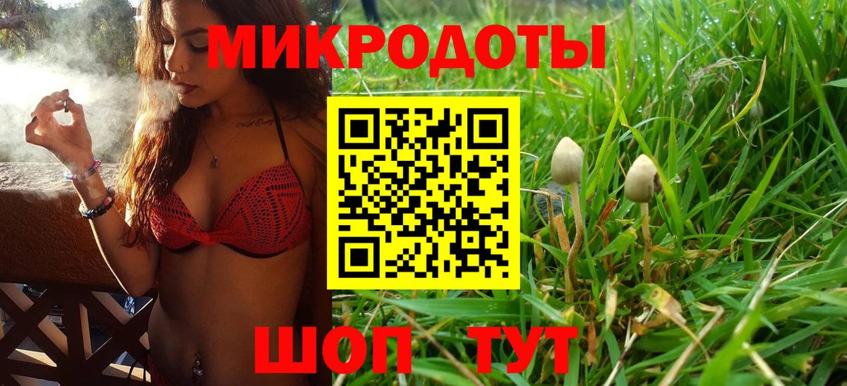 Галлюциногенные грибы Psilocybine cubensis Южно-Сахалинск